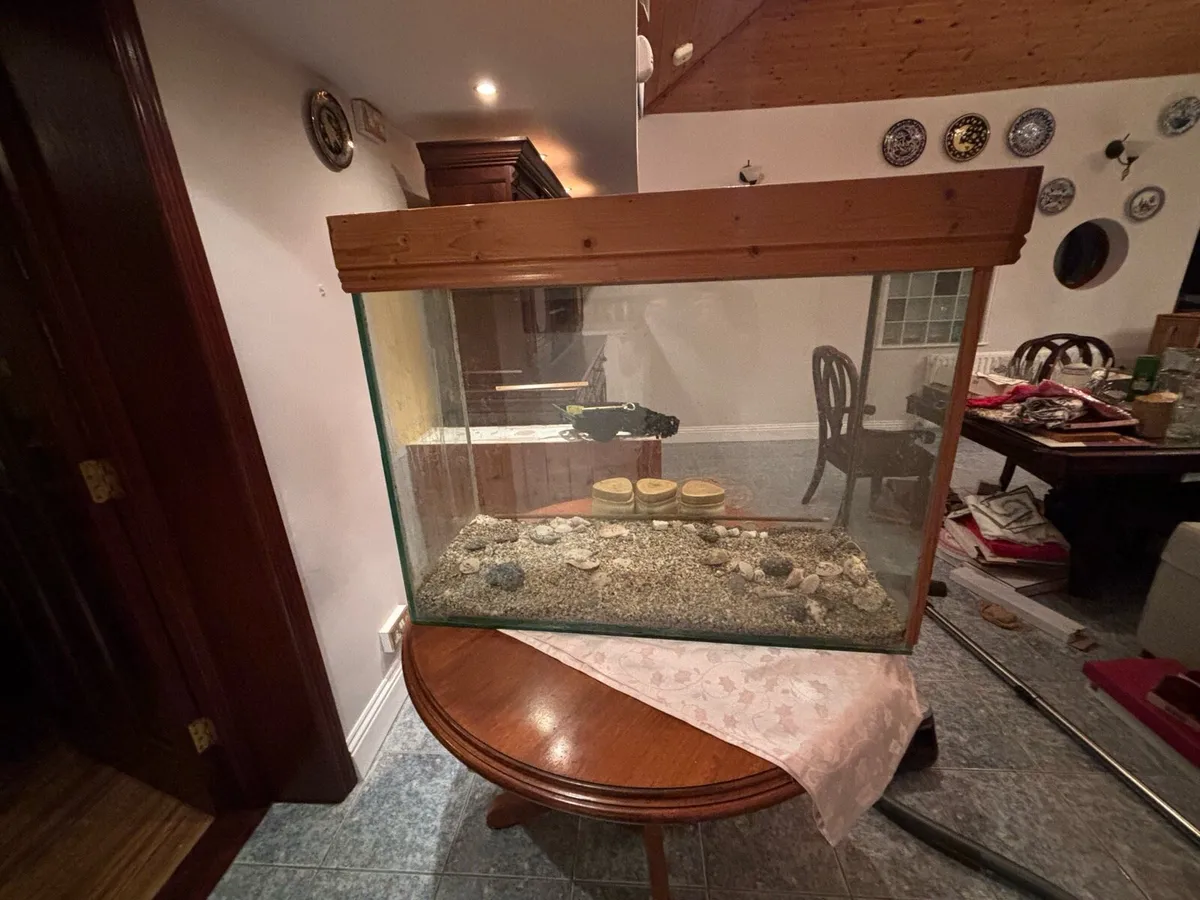 Fish Tank