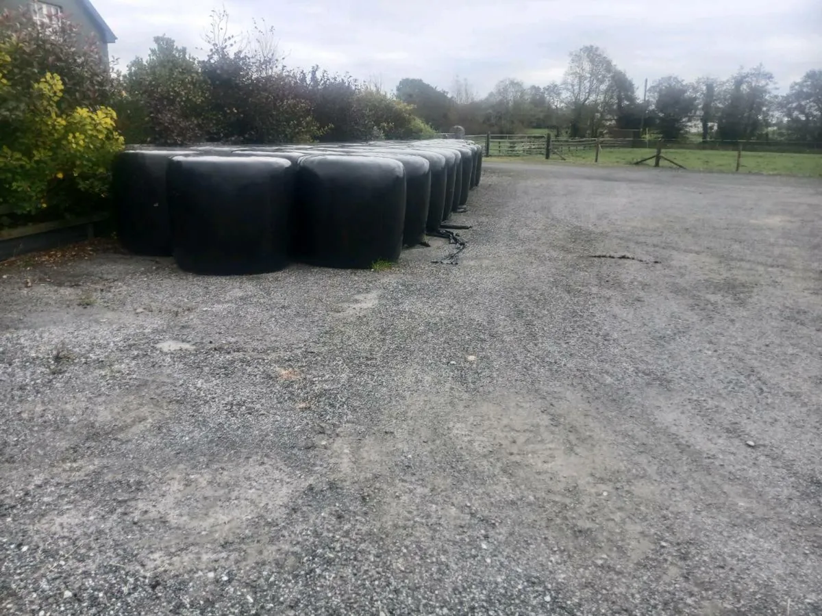 Silage - Image 1