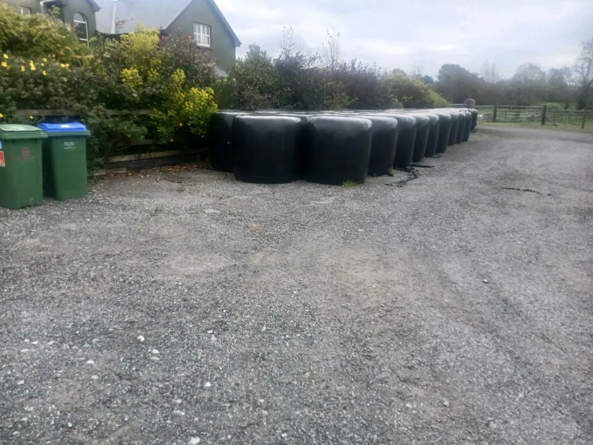 Silage - Image 2