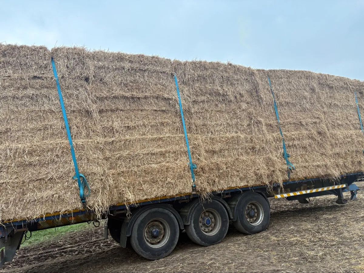 Straw - Image 1