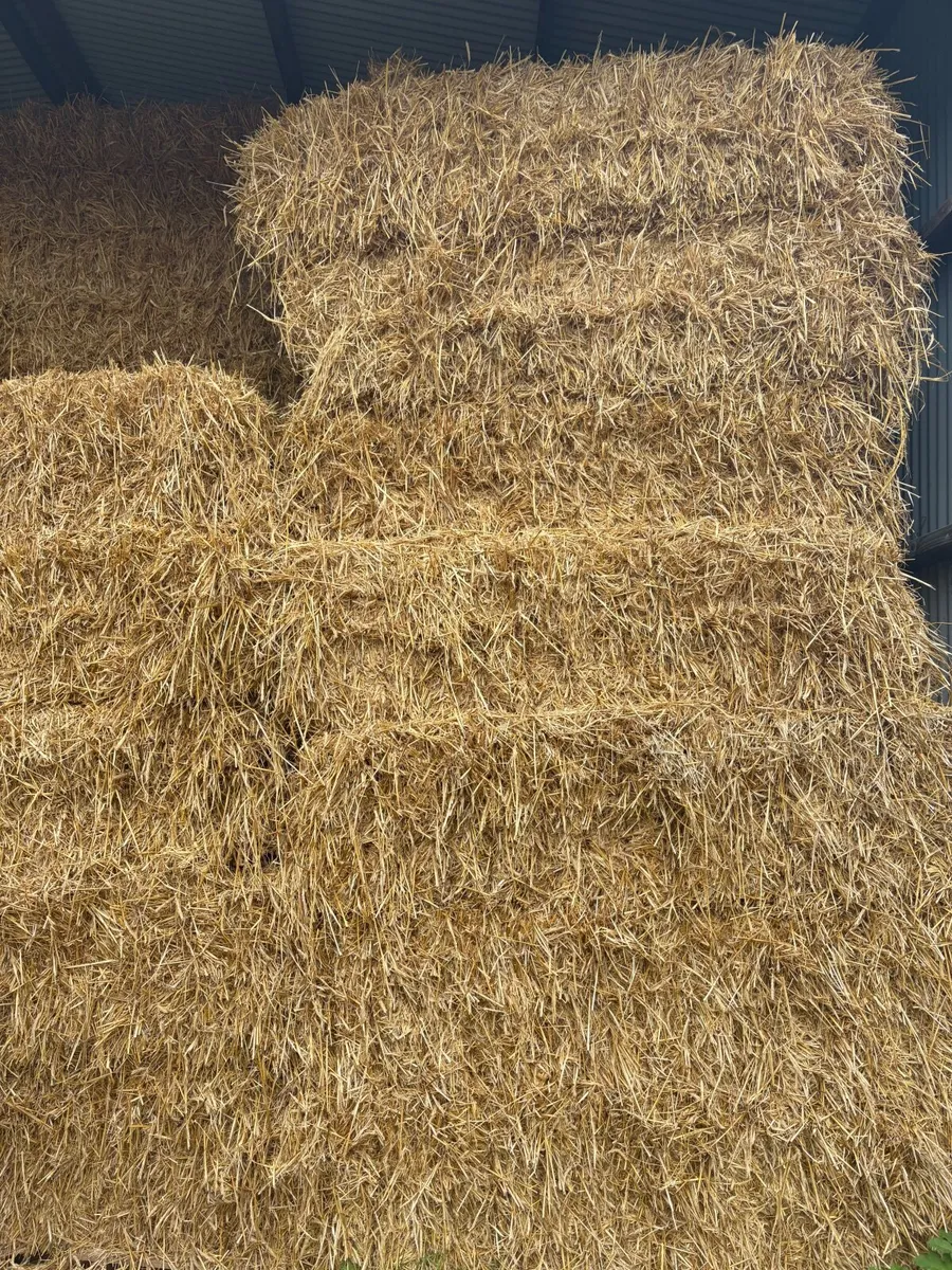 Straw - Image 2