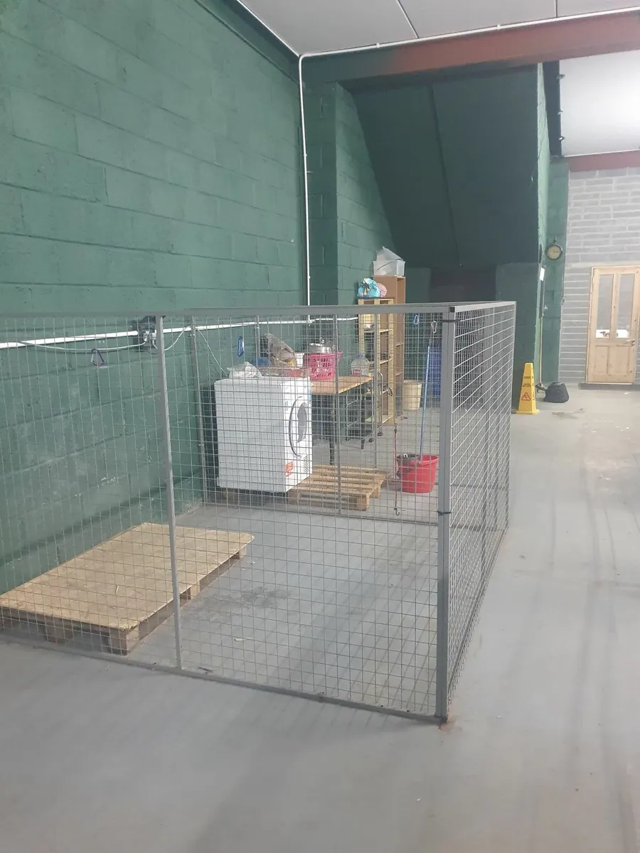 Dog kennels - Image 1