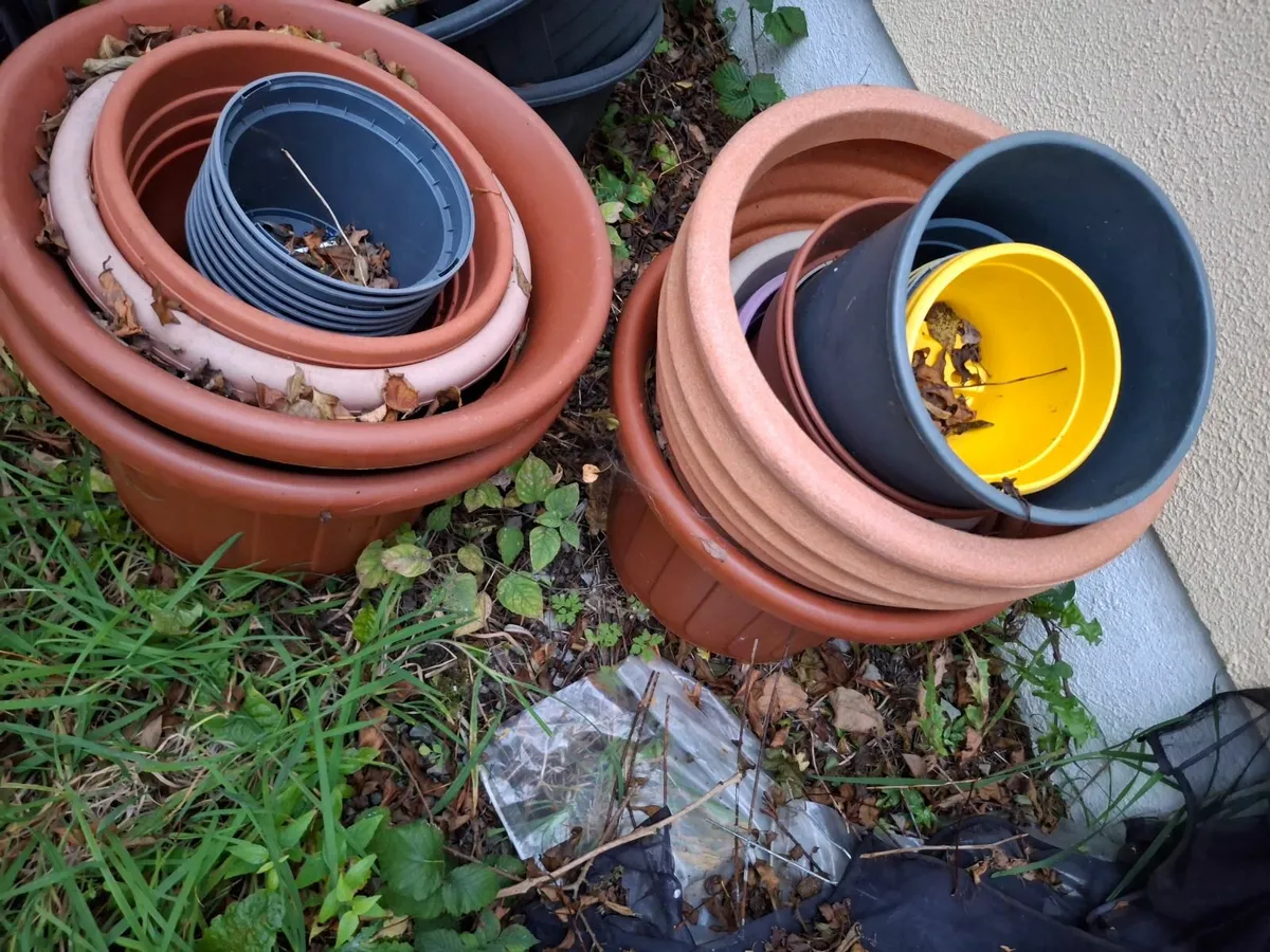Garden pots 30 + - Image 1