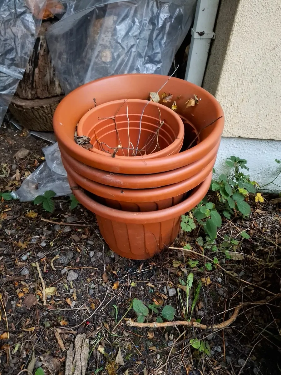 Garden pots 30 + - Image 3