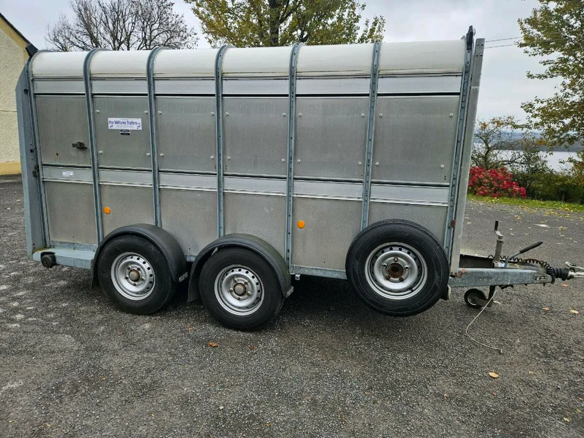 Ifor williams - Image 3