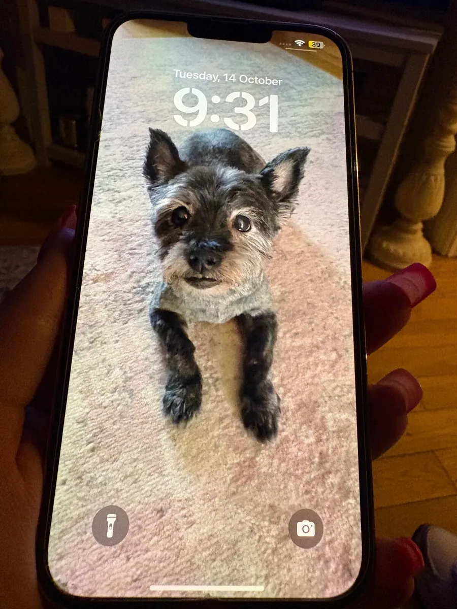 iPhone 13 Pro max - Image 2