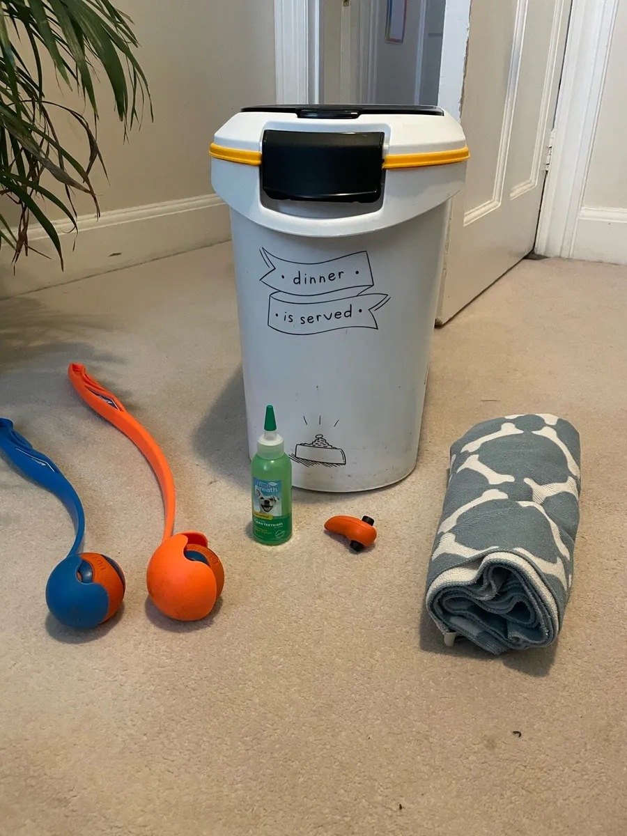 Dog food container and other