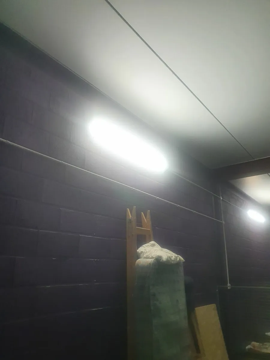 Lights - Image 2