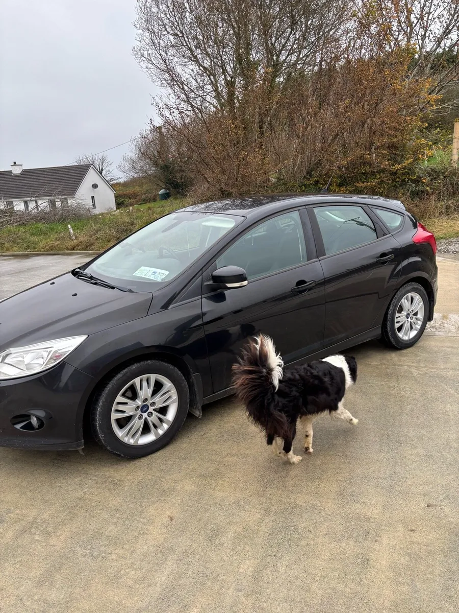 Ford focus 1.6 diesel - Image 3