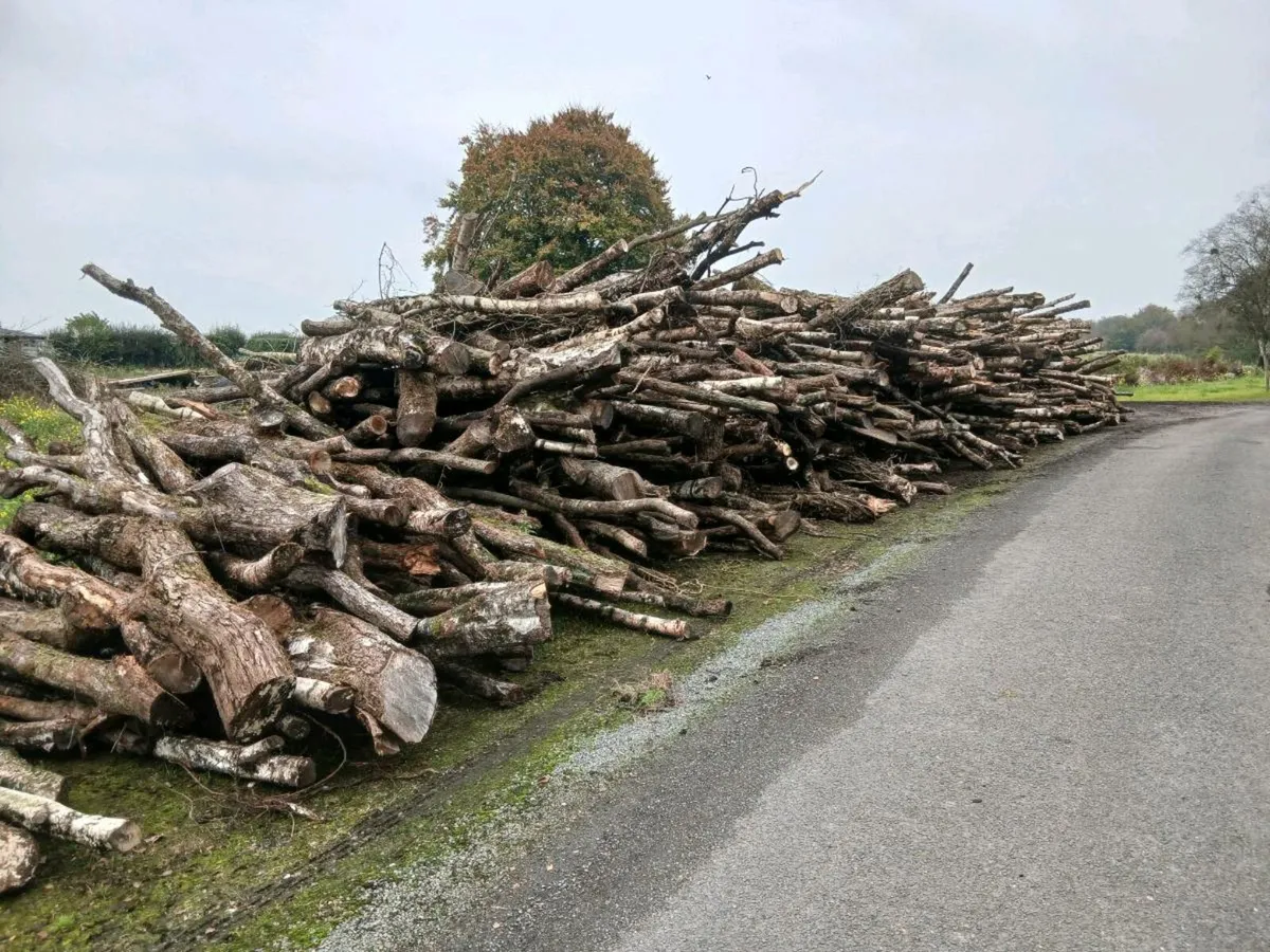 Timber firewood - Image 1