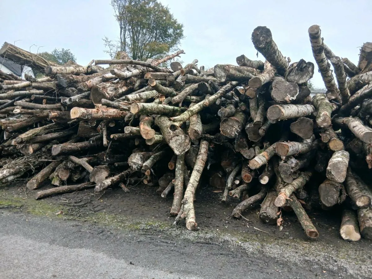 Timber firewood - Image 2