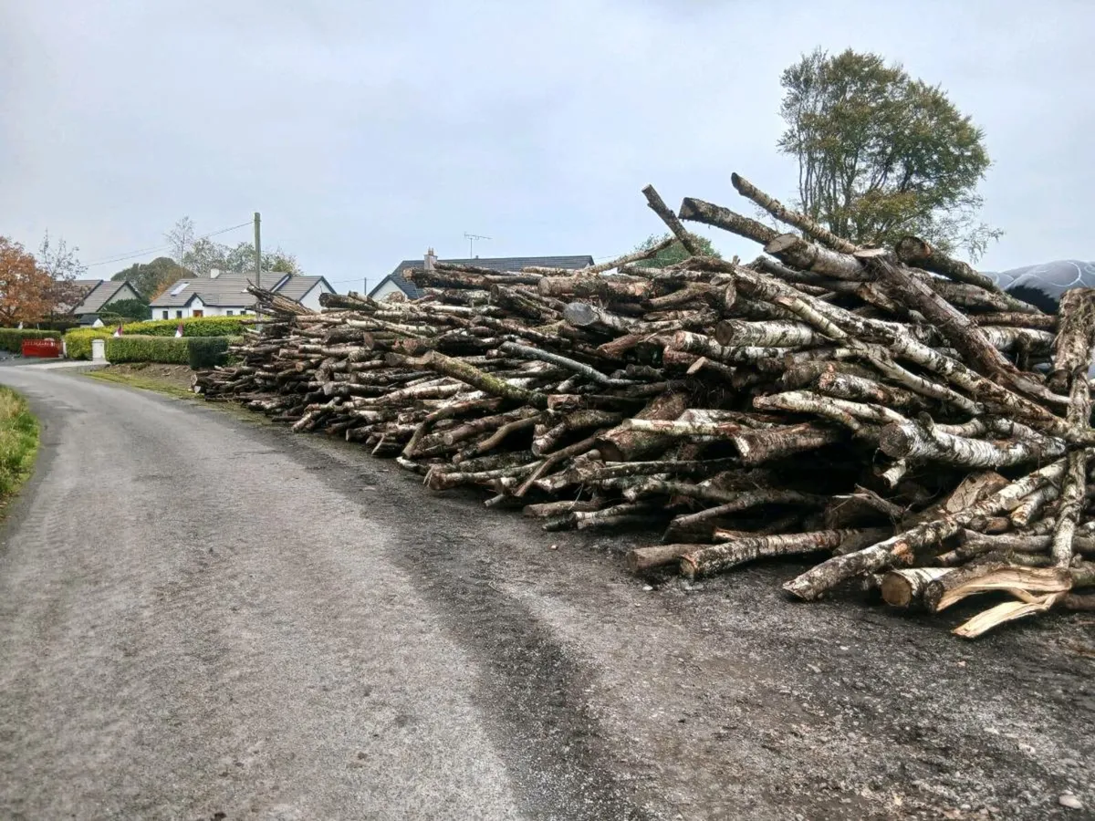 Timber firewood - Image 3