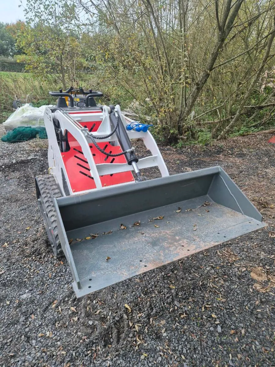 Force drive  skidsteer loader - Image 2