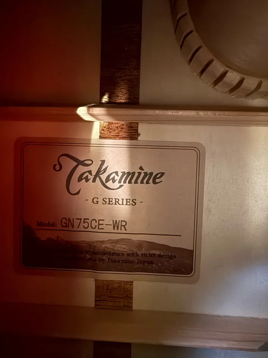 Takamine Guitar available - Image 3