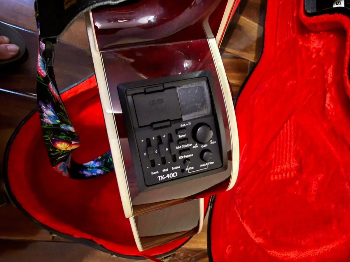 Takamine Guitar available - Image 4