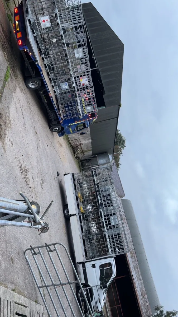 Ibc cages - Image 4