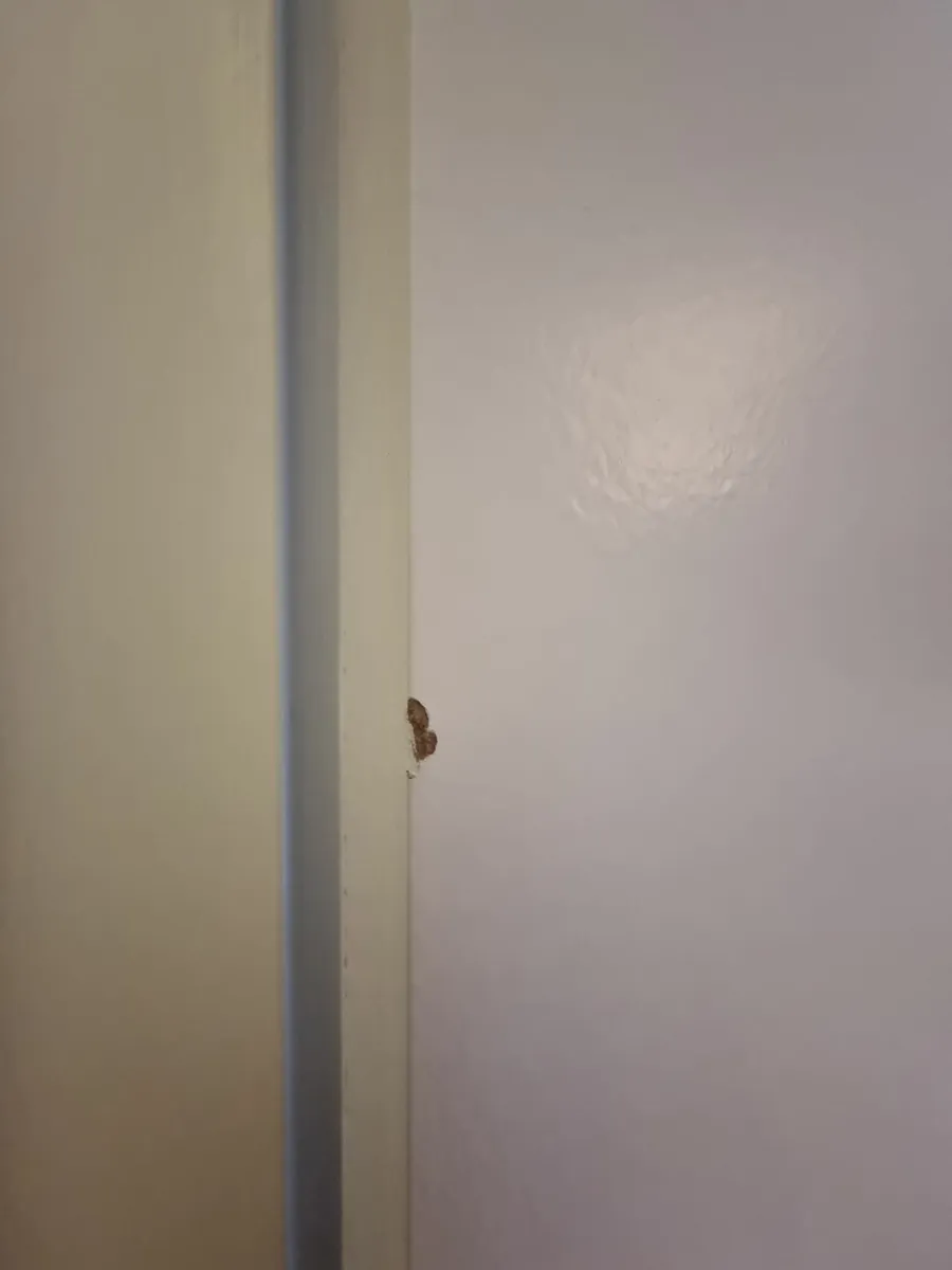 Internal door - Image 3