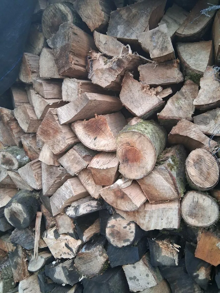 Hardwood  fire wood - Image 2