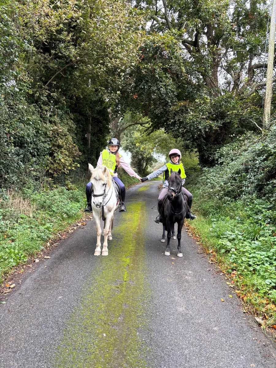 12h beautiful 9 yo starter pony - Image 2