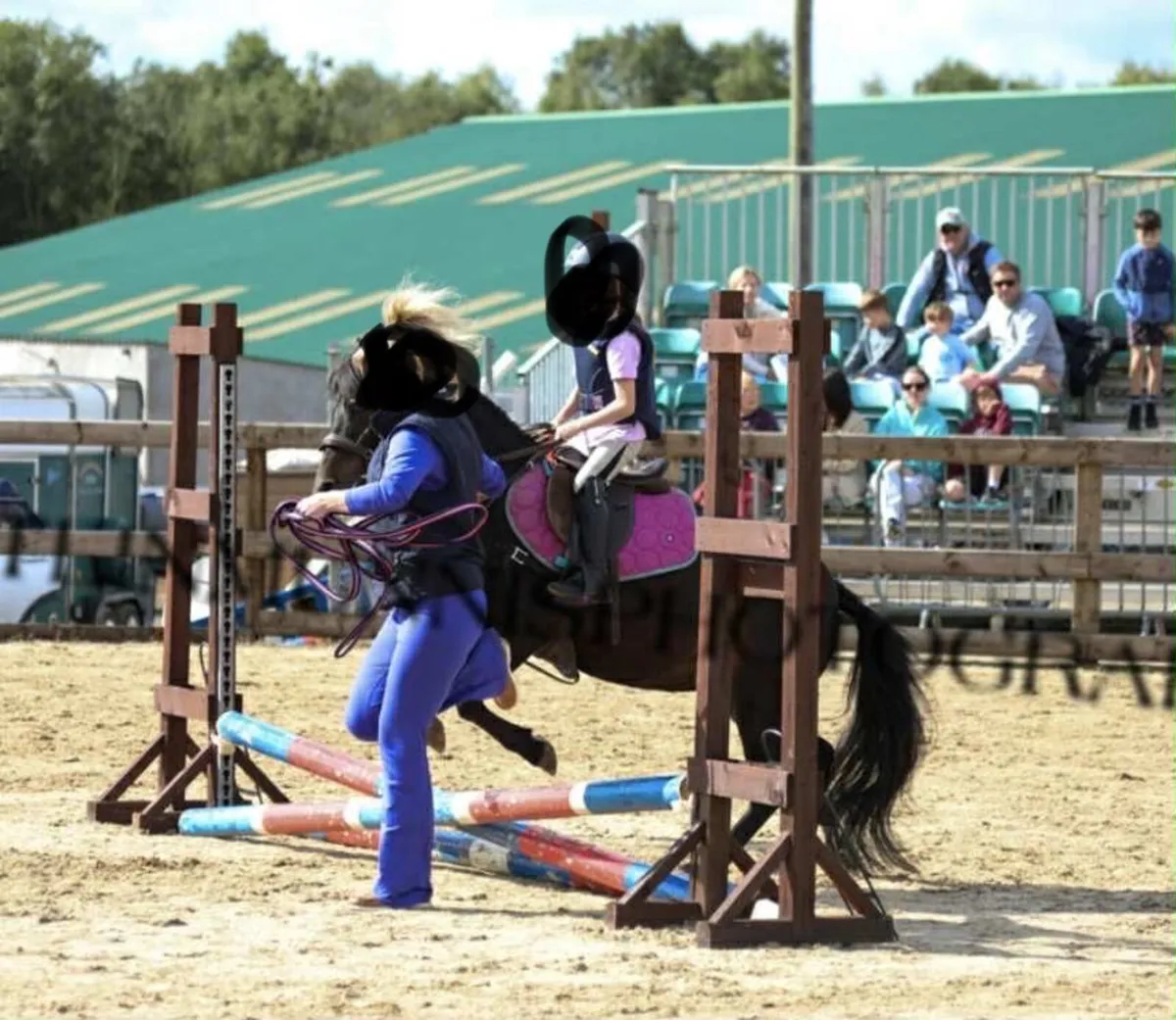 12h beautiful 9 yo starter pony - Image 4