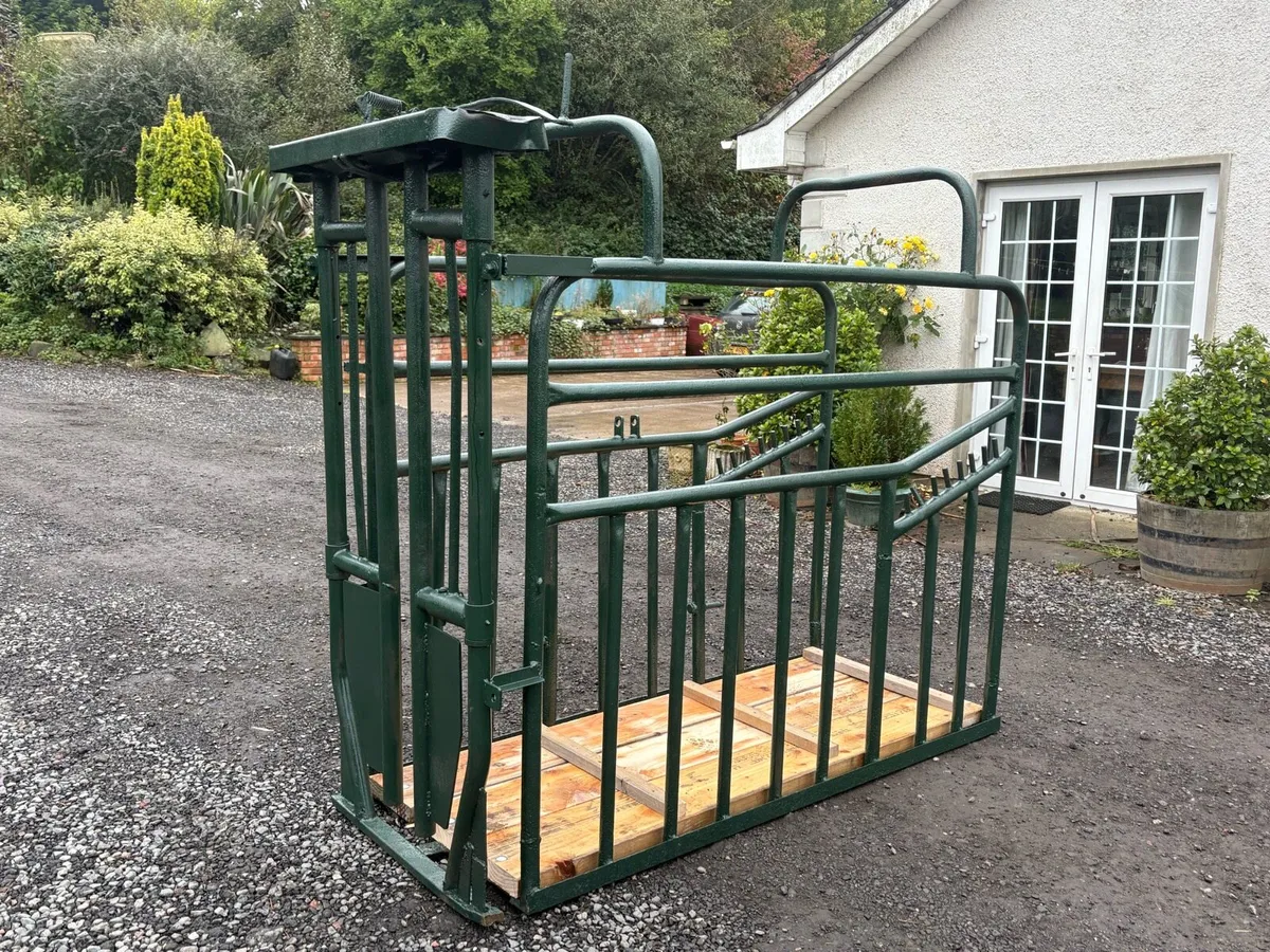Portable Cattle crush - Image 1