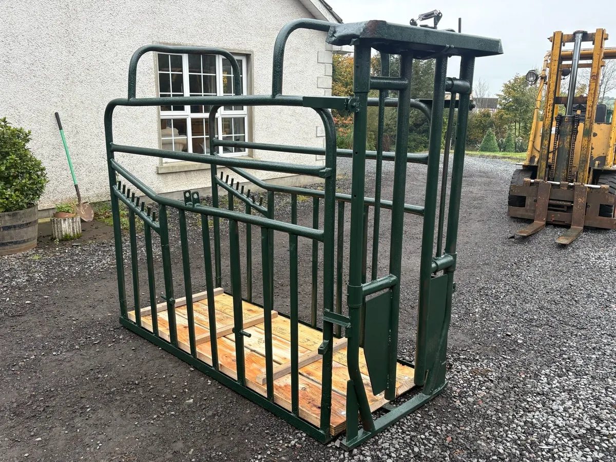 Portable Cattle crush - Image 2