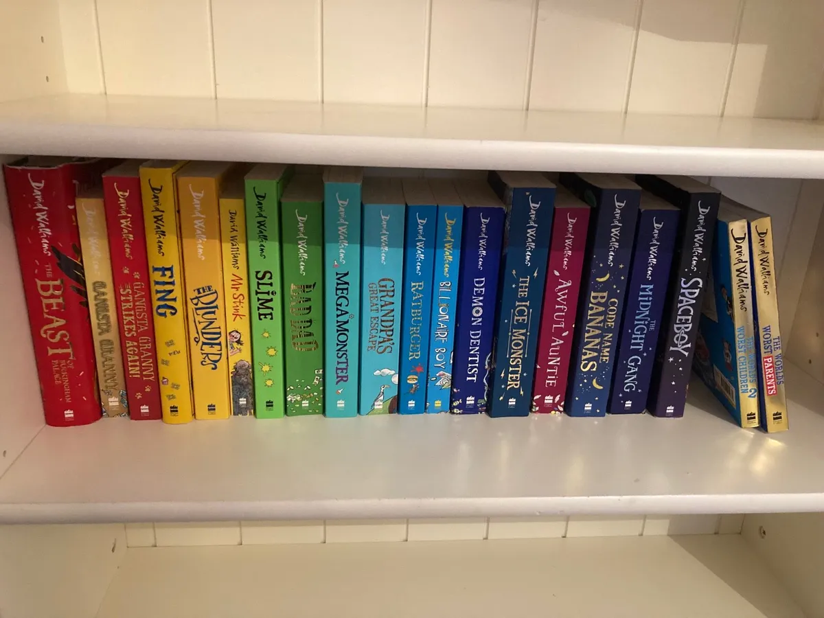 20 x David Walliams Books