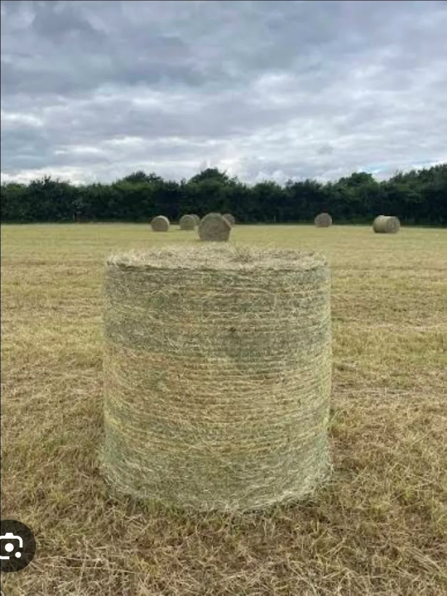 Hay bales