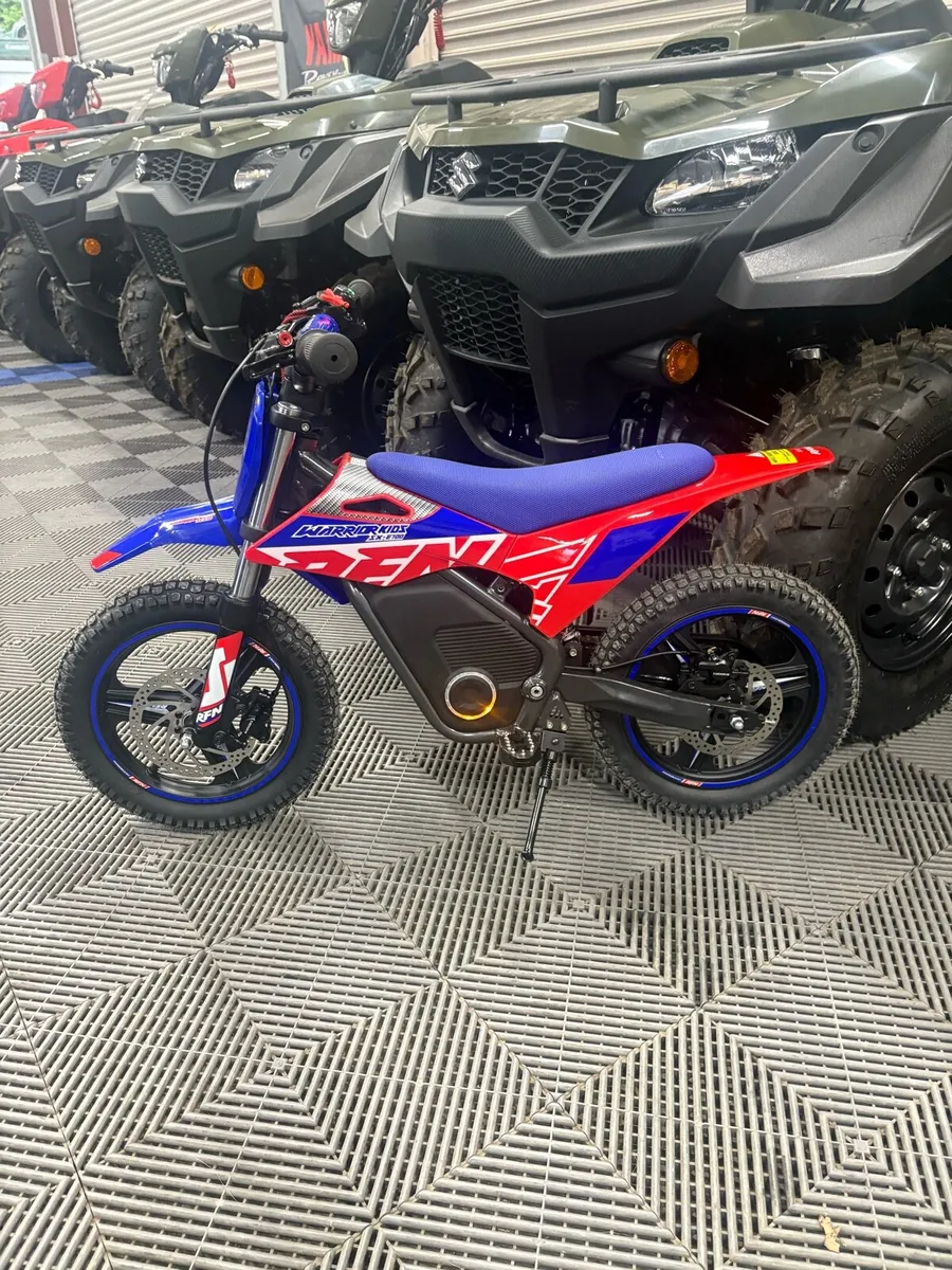 RFN electric bikes - Image 1