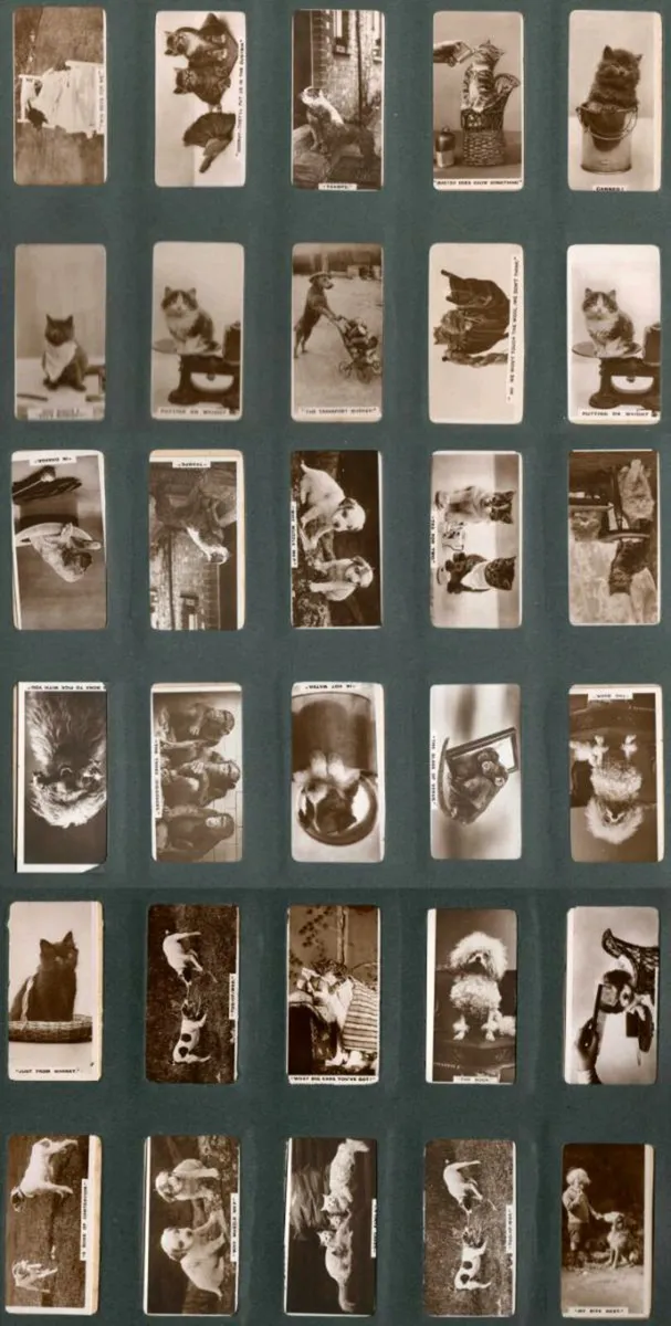 Cigarette cards - Image 3