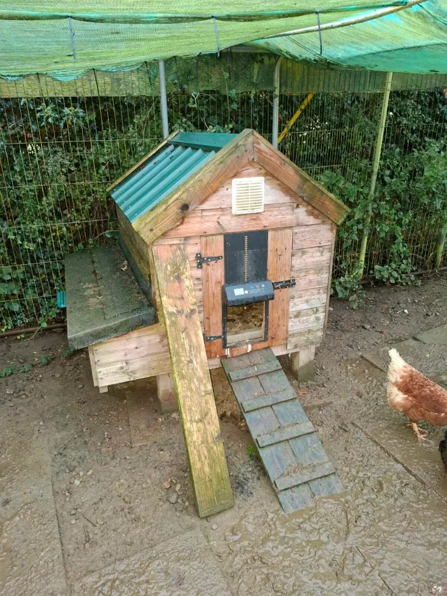 Chicken Coop - Image 1
