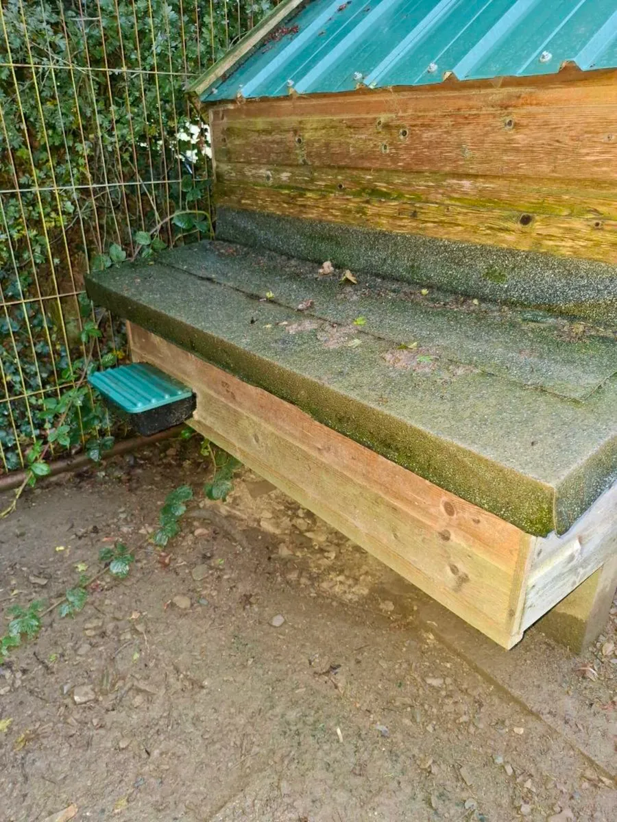 Chicken Coop - Image 2