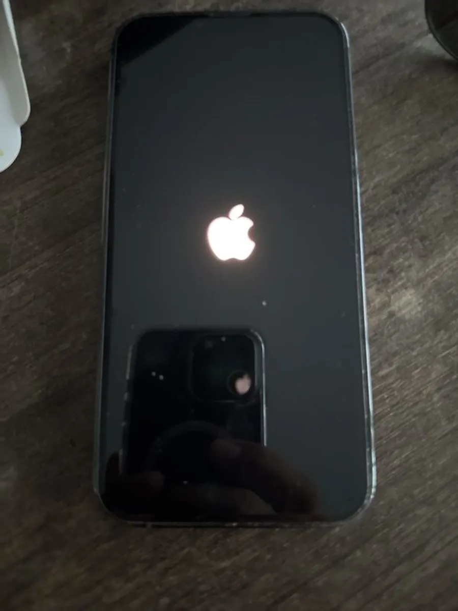 Apple iPhone 13 Pro MAX - Image 1