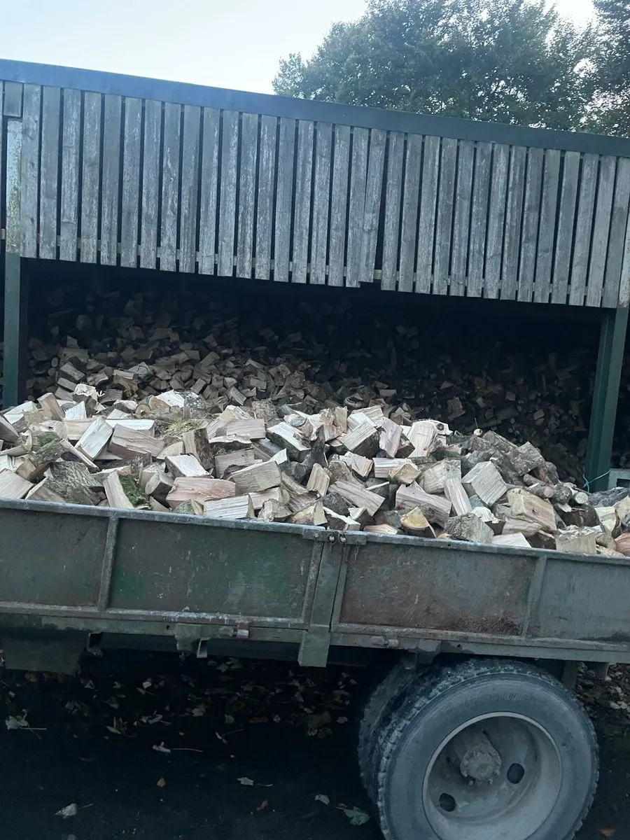 Firewood - Image 2