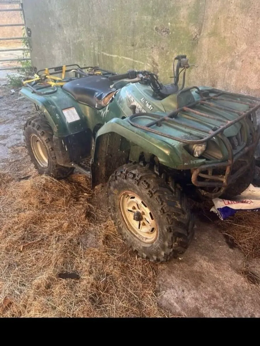 Quad bike - Image 1