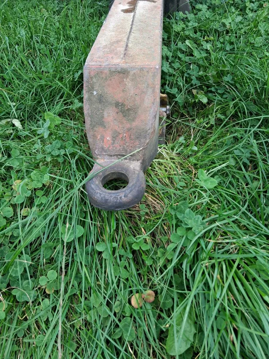 Herron Grain Trailer - Image 4