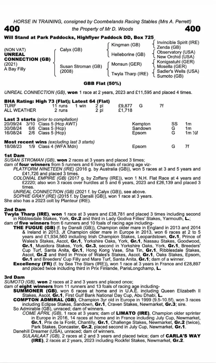 4 yr old Filly by Calyx - Image 1