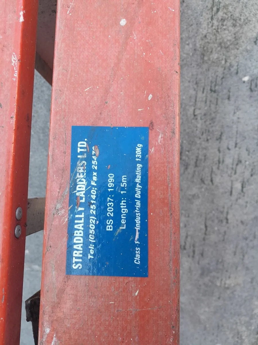 Stradbally Fibreglass Ladder - Image 2