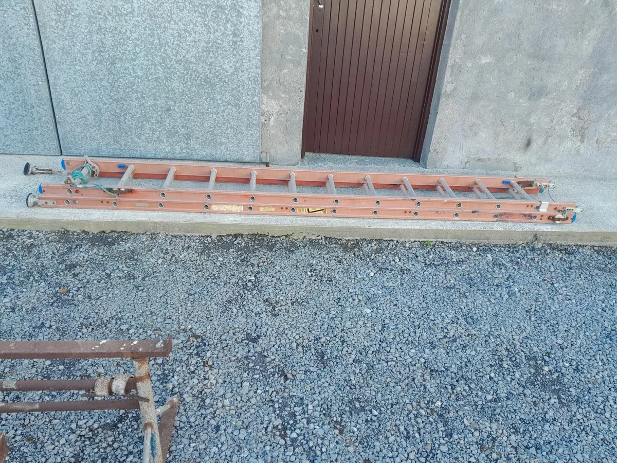Stradbally Fibreglass Ladder - Image 3