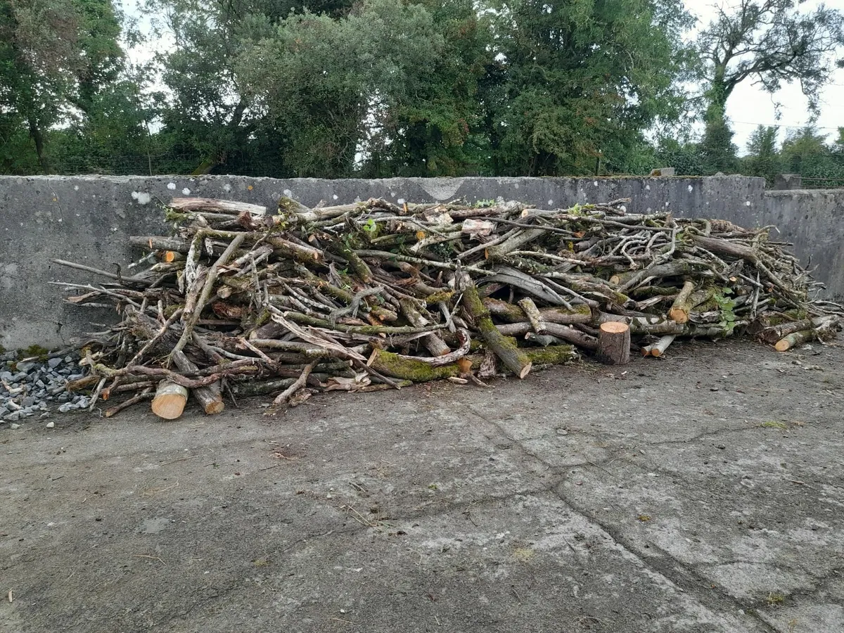 Firewood