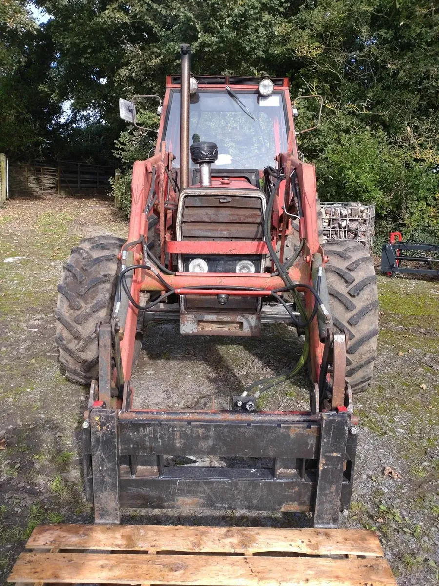 Massey Ferguson 290 - Image 2