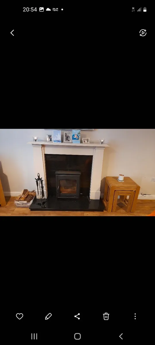 Solid fuel insert - Image 1