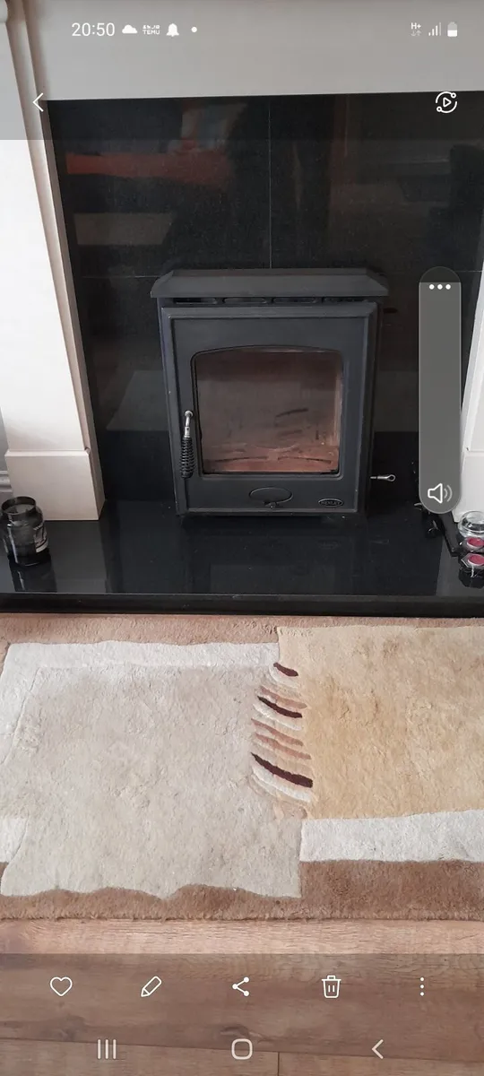 Solid fuel insert - Image 3