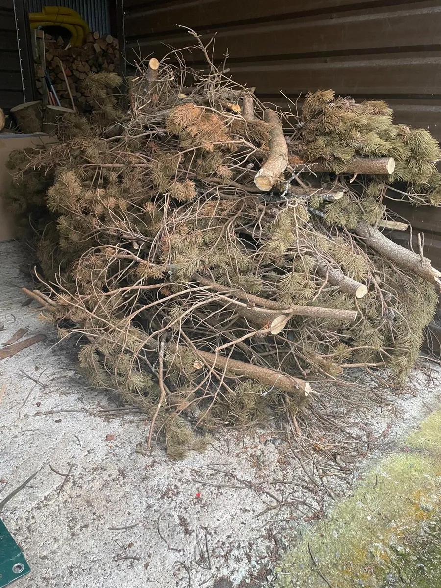 Wood for stove or open fire - Image 1