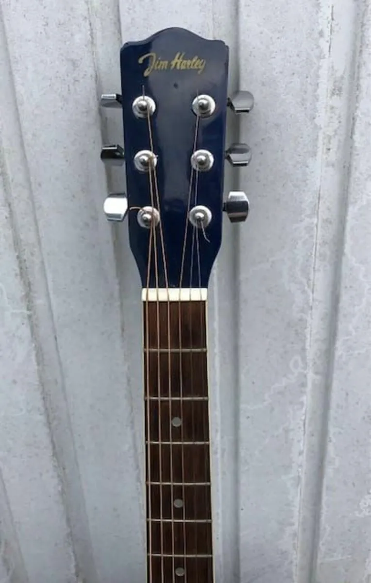 Harley 90s Acoustic Guitar - Image 2