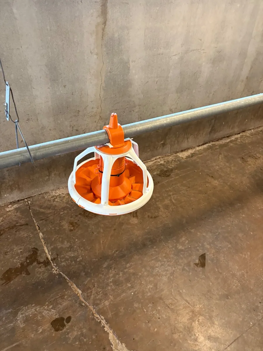 Poultry equipment - Image 1