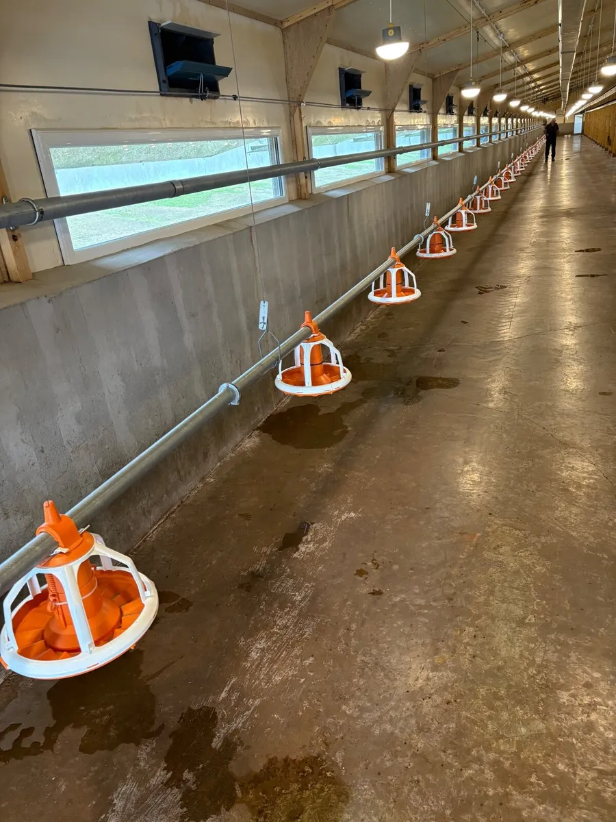 Poultry equipment - Image 3