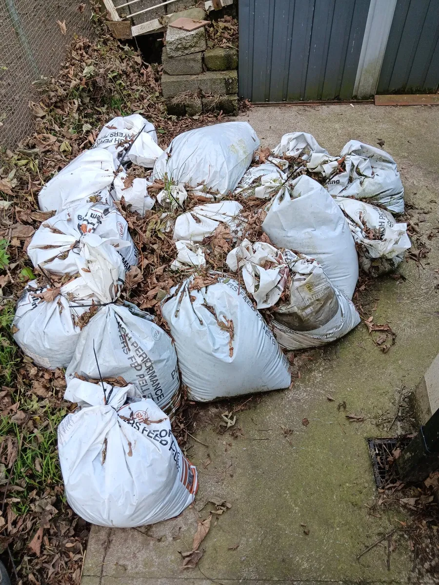 Chicken manure – free – great for gardens