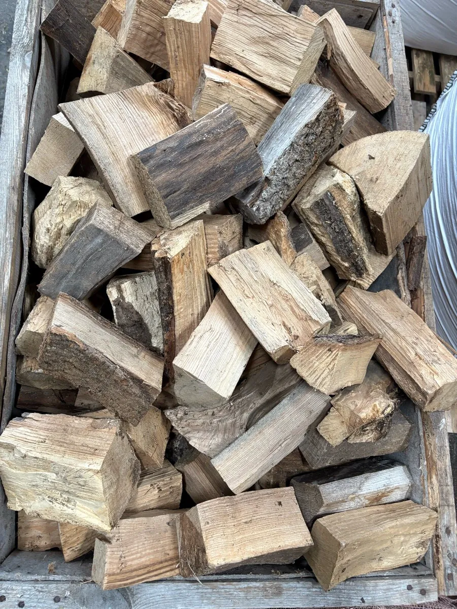 Fire wood - Image 1