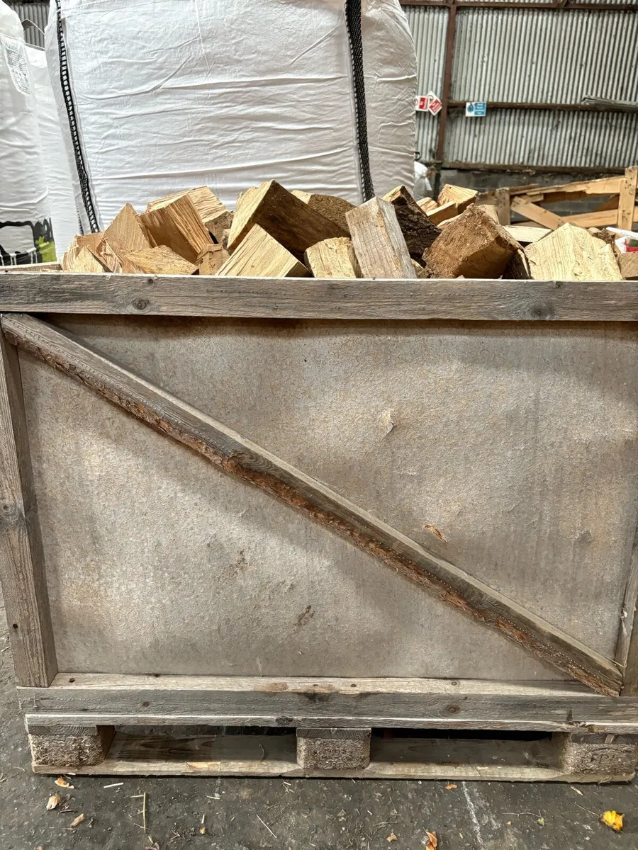 Fire wood - Image 2